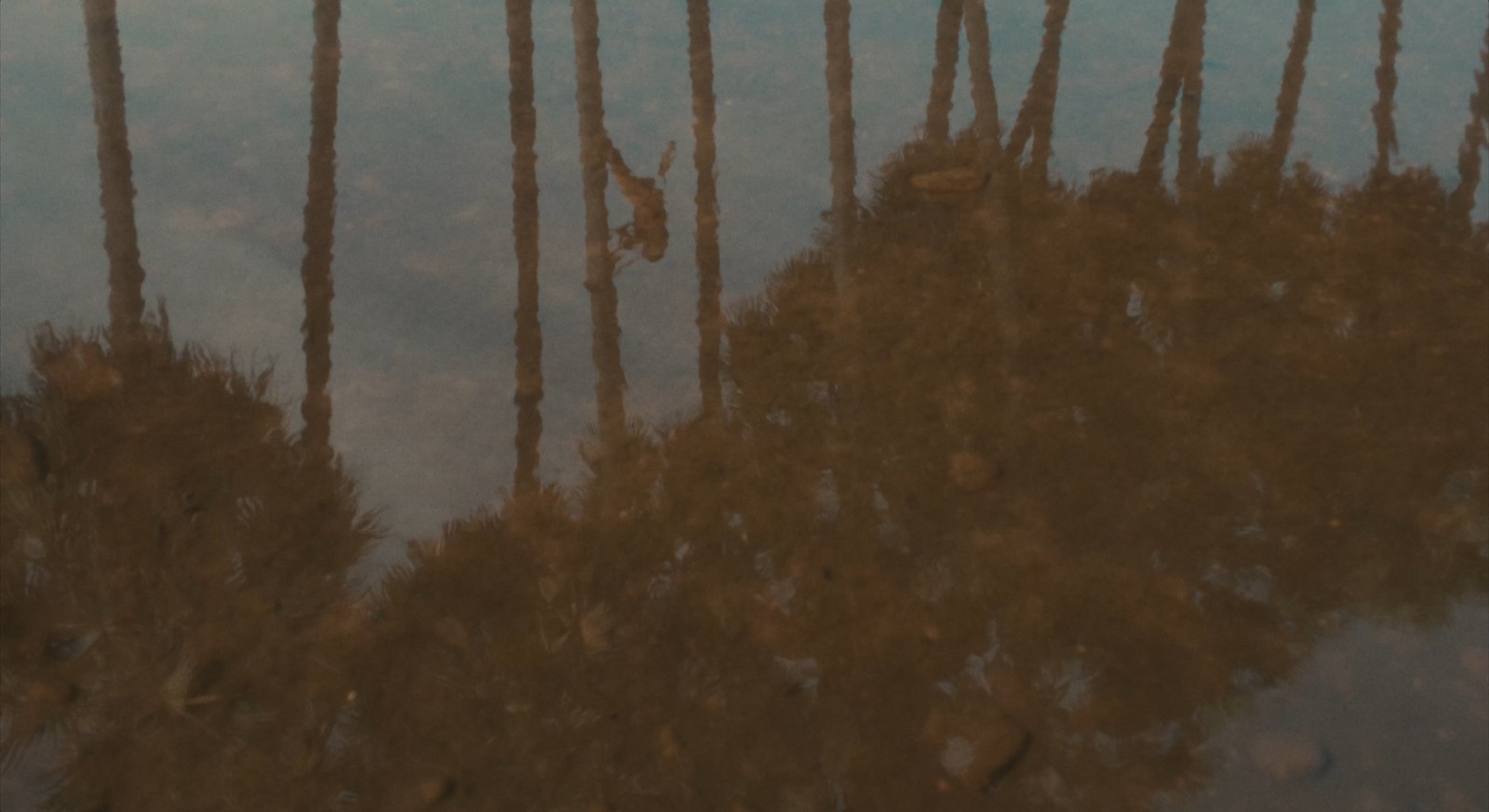 Devi descends a palm tree after a flood, during the retelling of the tribe's creation myth